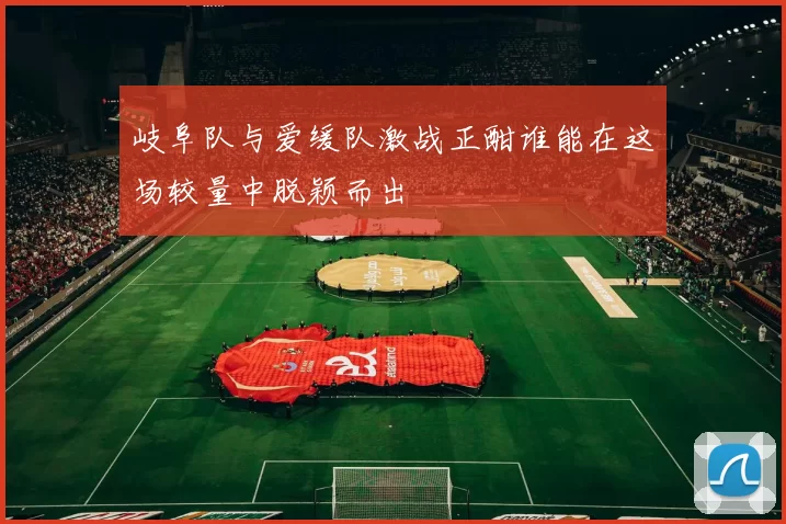 岐阜队与爱缓队激战正酣谁能在这场较量中脱颖而出