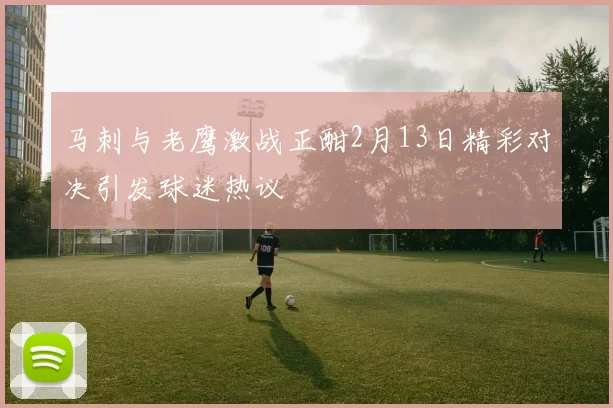 马刺与老鹰激战正酣2月13日精彩对决引发球迷热议