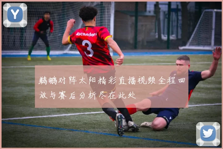 鹈鹕对阵太阳精彩直播视频全程回放与赛后分析尽在此处